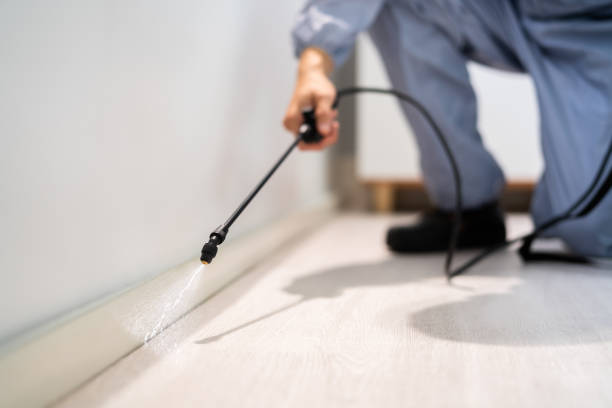 Licensed Termite Control service in Lewiston, ID - Nex Pest Control
