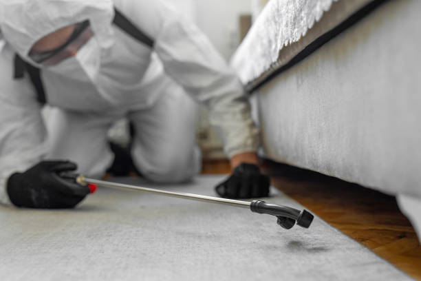 Professional Termite Control technician working in Lewiston, ID