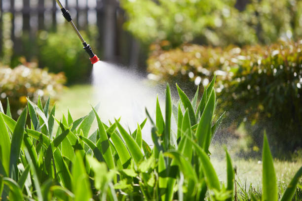 24/7 Emergency Termite Control experts in Lewiston, ID